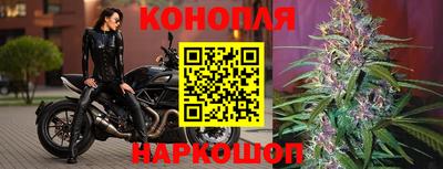 гидра Шахты