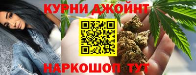 гидра Шахты