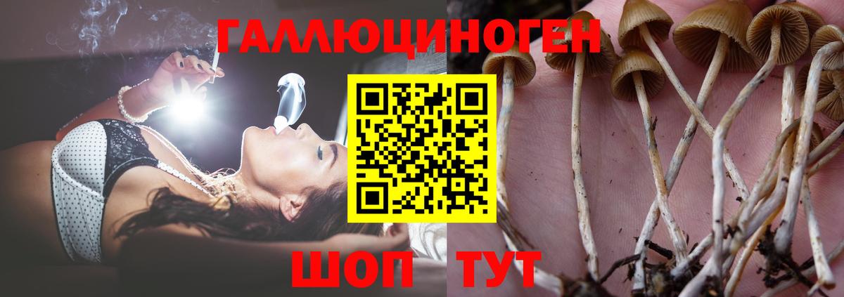 Коряжма  наркота  Псилоцибиновые грибы мухоморы  Вход с VPN  Галлюциногенные грибы Cubensis 